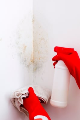 Resident Tips for Mold Management in Your Homeowners Association-featured