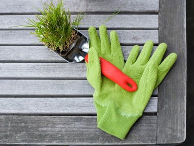 Basics of Urban Gardening in Your Homeowners Association-featured