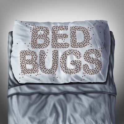 [Survey] How Bed Bugs May Be Affecting Your Homeowners Association-featured