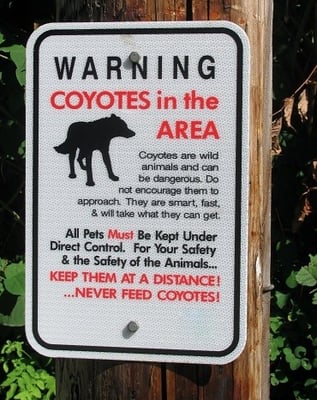 Best Practices: Discouraging Wild Animals in a Homeowners Association-featured