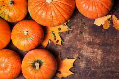 Fall Decorating with Hignell Rentals [Part 2]-featured
