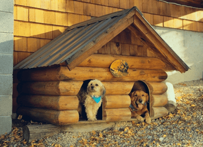 Get to Know the Apartment Neighbors Near You-featured