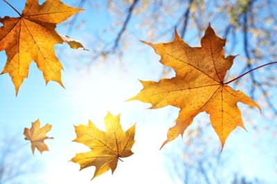 Sunny and 75: Why Chico Living is Best in the Fall-featured