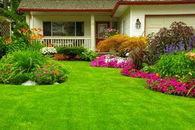 Eco-Friendly Lawn Care Tips for Your Homeowners Association-featured
