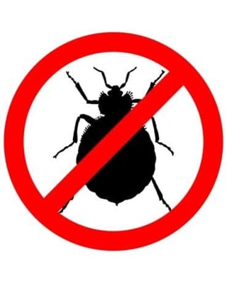What Rental Property Managers Need to Know About Bed Bugs-featured