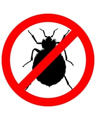What Rental Property Managers Need to Know About Bed Bugs-featured